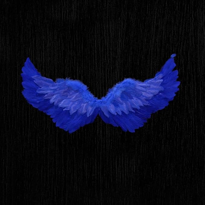 Angel Feather Wings, Lightweight Carnival Costume with Elastic Straps, Bright Color Cosplay Photography Props