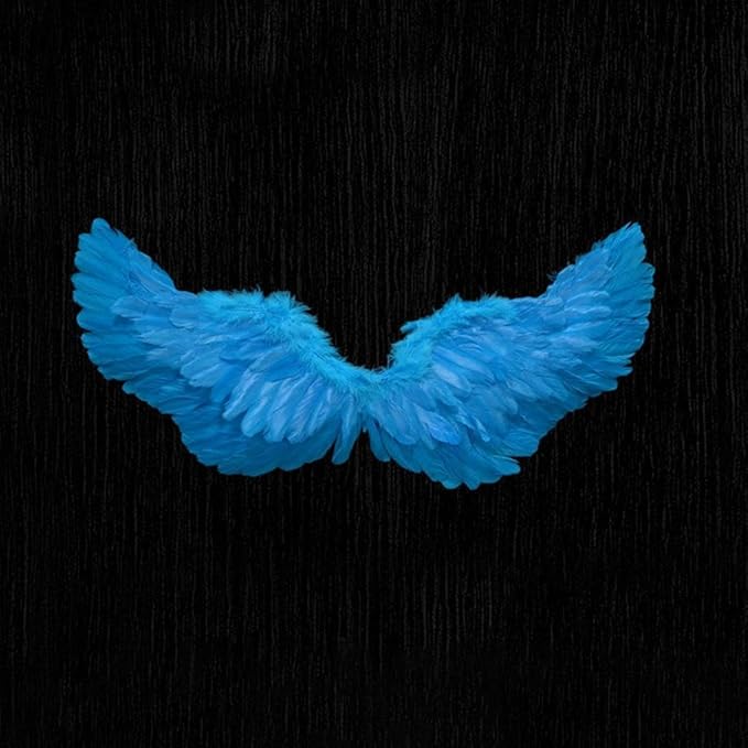 Angel Feather Wings, Lightweight Carnival Costume with Elastic Straps, Bright Color Cosplay Photography Props