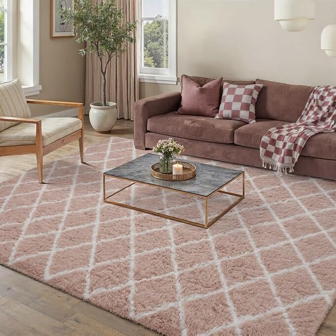 5x7 Checkered Rug for Living Room Pink and White Modern Soft Area Rug Fluffy Non-Slip Carpet for Bedroom Playroom Home Aesthetic Decor