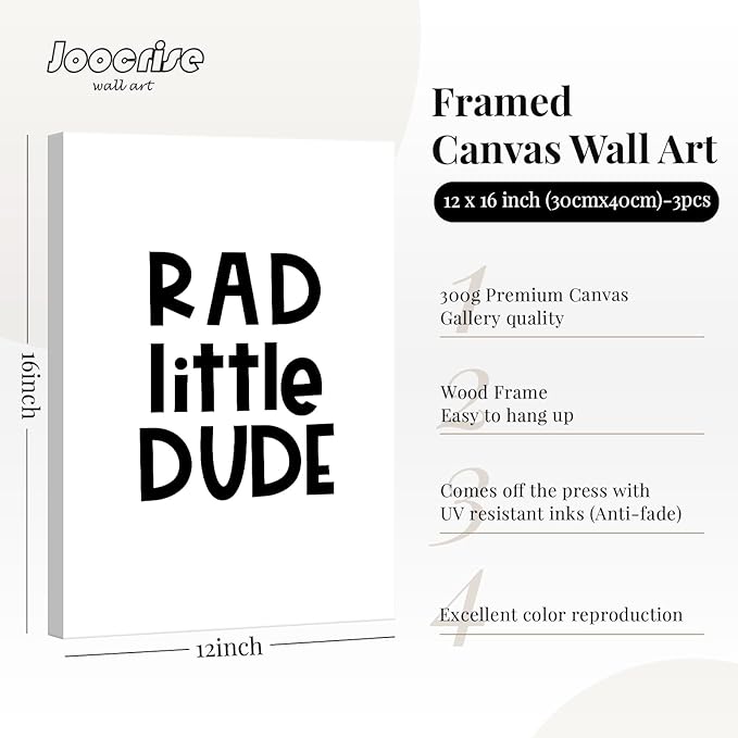 Boys Room Wall Art Decor Toddler Nursery Canvas Wall Art Baby Kids Wall Decor Black Checkered Smiley Poster Pictures Retro Playroom Rad Little Dud Art Prints for Bedroom 12x16x3 Inch Framed