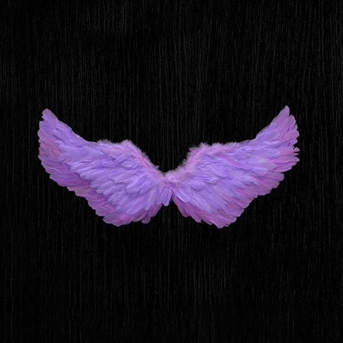 Angel Feather Wings, Lightweight Carnival Costume with Elastic Straps, Bright Color Cosplay Photography Props