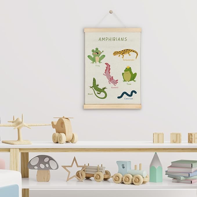 SereneHanctuary Amphibian Animal Wall Art, Animal Nursery Wall Decor, Boho Amphibians Educational Poster Hanger Frame for Toddler Kids Bedroom Nursery Playroom Classroom Decor, 12x16 Inches