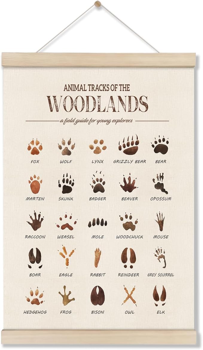 DOI-LANEE Woodland Tracks Poster Hanger Frame, Canvas Artwork Woodland Nursery, Jungle Nursery Decor, Animal Tracks Field Guide Sign, Forest Wall Art, Boy Wall Decor