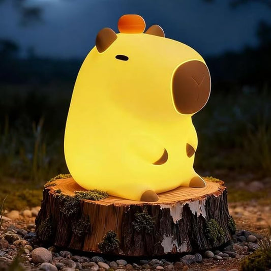 Capybara Kids Night Light, Portable USB Rechargeable Animal Light Touch Control Light, Silicone Night Light with Timer Function, Christmas Gift for Kids