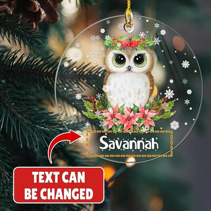 wowcugi Personalized Owl Ornament Custom Name Customized Christmas Ornament Acrylic Ornaments Gifts for Girl Women Boys Kids Animal Lovers Xmas Hanging Tree Decorations