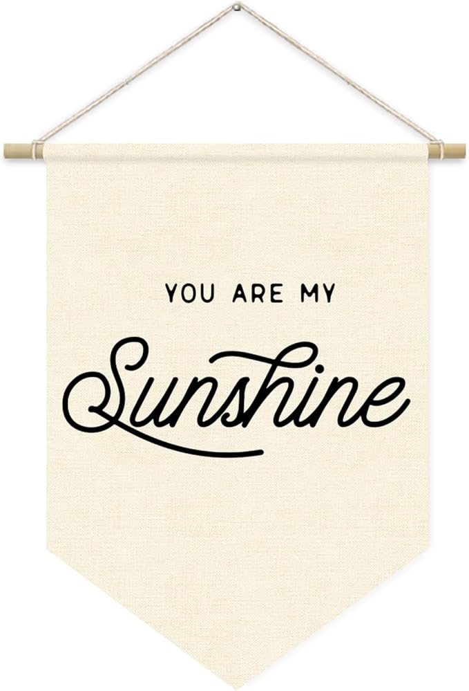 You Are My Sunshine Wall Hanging Banner, Kids Room Decor, Trendy Pennant Flag Banner Wall Hanging Decor for Nursery Home Classroom