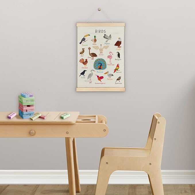 SereneHanctuary Bird Wall Art, Boho Educational Nursery Wall Decor, Birds Animal Poster Hanger Frame for Toddler Kids Room Bedroom Nursery Playroom Classroom Decor,12x16 Inches