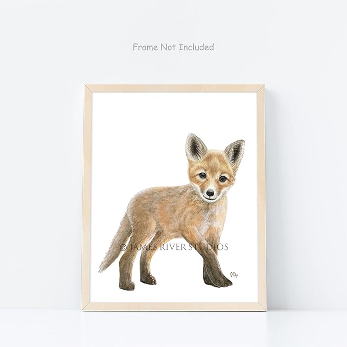 James River Studios Woodland Animal Nursery Prints Unframed Set of 4, Pick Your Baby Animals and Print Size, Original Watercolor Art Signed By Artist