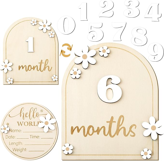 Baby Monthly Milestone Cards with Hello World Newborn Sign, Daisy Baby Milestone Signs Baby Monthly Milestone Wood Discs Baby Announcement Sign for Baby Growth Photo Props