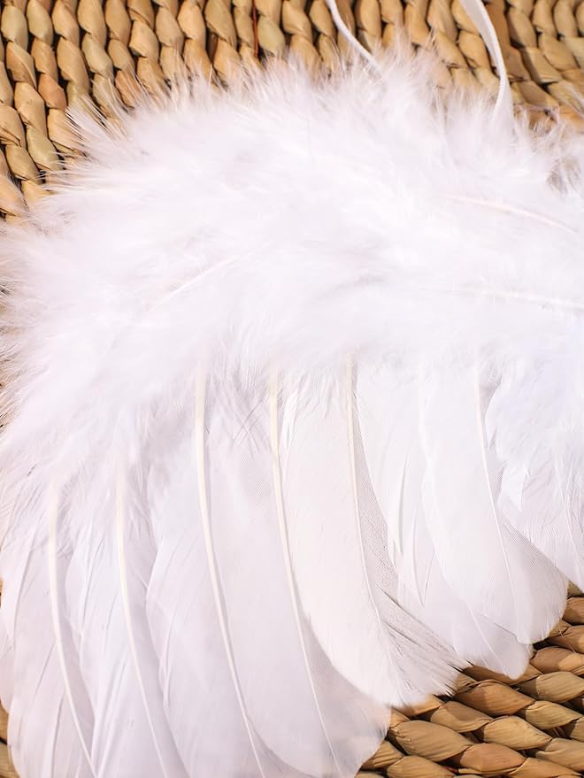 Holibeat 0-6M Newborn Baby Angel Wings with Feathers Newborn Photography Posing Props with a Headband (white1)