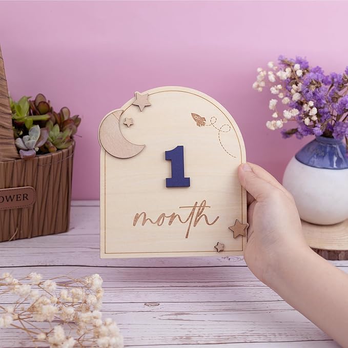 Wooden 3D Baby Monthly Milestone Cards Monthly Milestone Discs Newborn Photography Props Baby Announcement Sign Baby (Moon)