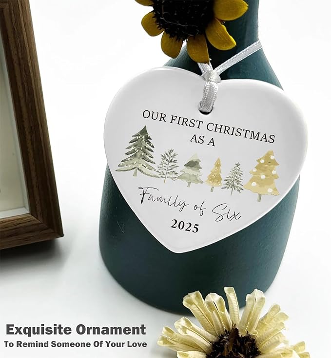 2025 Christmas Tree Ornament Decor Gift-Our First Christmas as a Family of Six-New Parents Mom Dad Gift-Baby,Shower Present for New Baby Newborn-The Fourth Child Present-Home Decor-Tree Theme