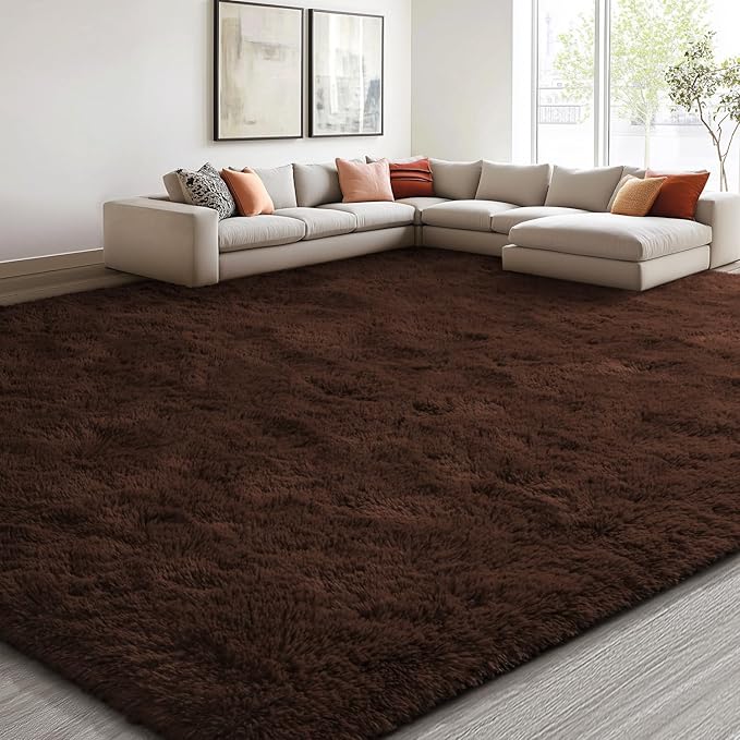 EVOIONOS 10x14 Washable Large Area Rug for Living Room, Fluffy Shag Rug for Bedroom, Ultra Soft Plush Non Slip Carpet for Indoor Floor Bedside Nursery Kids Girl Room Dorm, Home Decor Aesthetic Coffee