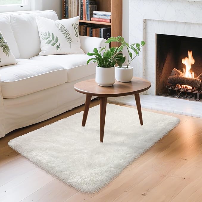 White Fluffy Rug for Bedroom Living Room, 2x3 Small White Area Rug Furry Throw Bedside Rug for Dorm, Non-Slip Entryway Indoor Front Door Mat, Soft Plush Shag Carpet Washable for Nursery Kids