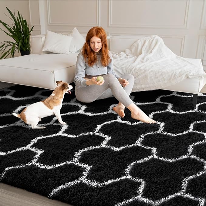 EVOIONOS Ultra Soft Area Rug for Bedroom, 3x5 Black and White Geometric Pattern Washable Fluffy Shag Rug for Living Room, Plush Non Slip Carpet for Indoor Floor Nursery Kids Dorm Home Decor Aesthetic