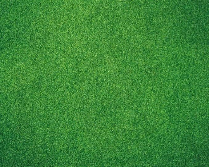 Kate Photography Floor Mats Green Grassland Floor Backdrop Wall Rubber Mat Newborn Photography Props for Professional Photo Shoot Studio 5x4ft
