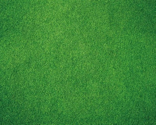 Kate Photography Floor Mats Green Grassland Floor Backdrop Wall Rubber Mat Newborn Photography Props for Professional Photo Shoot Studio 5x4ft