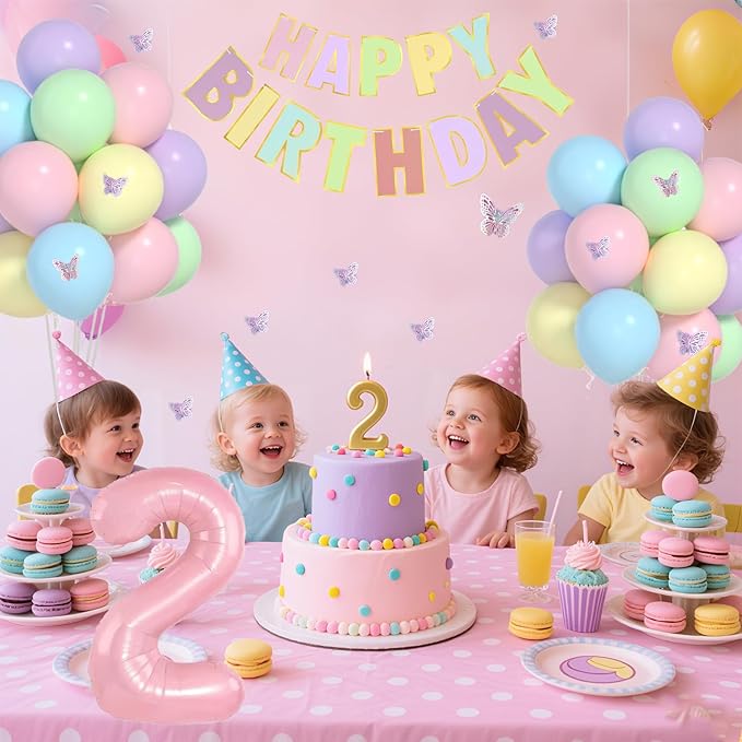 Pastel 2nd Birthday Decorations for Girl -12 inch Pastel Balloons, 40 Inch Pink 2 Balloon,3D Butterflies Stickers, Happy Birthday Banner for Baby Girl 2 Year Old BD Party Decorations
