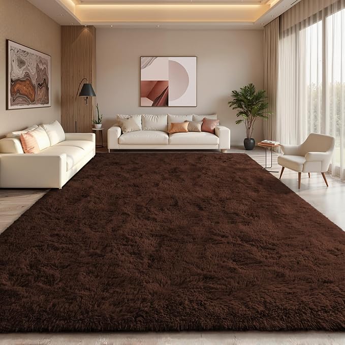 EVOIONOS 6x9 Washable Large Area Rug for Living Room, Fluffy Shag Rug for Bedroom, Ultra Soft Plush Non Slip Carpet for Indoor Floor Bedside Nursery Kids Girls Room Dorm, Home Decor Aesthetic, Coffee