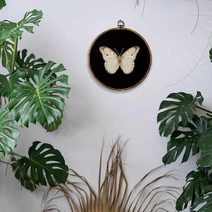 Hiuwevt Vintage White Butterfly Round Wall Art Decor, Retro Antique Moth Hanging Canvas Prints Artwork Framed, Neutral Moody Insect Circular Wall Decor for Home Bedroom Living Room, 10x10 Inch
