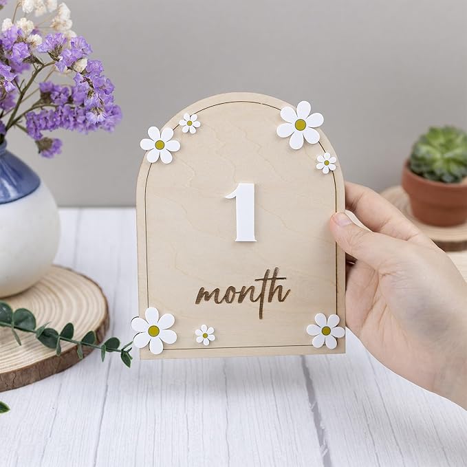 Wooden 3D Baby Monthly Milestone Cards Monthly Milestone Discs Newborn Photography Props Baby Announcement Sign Baby (Daisy)