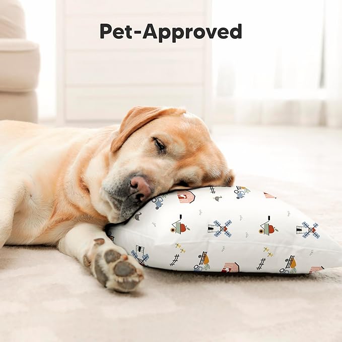 Toddler Pillow with Pillowcase - 13x18 My Little Dreamy Kids Travel Bed Pillows for Sleeping, Organic Cotton Small Pillowcase, Soft & Breathable, Machine Washable, Toddlers 2-5 years old (Pawtrol)
