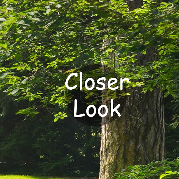 3D Window View Wall Mural Garden Green Trees Forest Wallpapers for Bedroom Living Room Tv Background(Not Peel n' Stick)