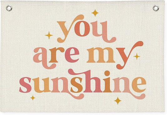 Girls Room Decor, Baby Girl Nursery Baby Shower Decor Gift, You are My Sunshine Linen Canvas Banner, Pink Boho Wall Hanging Banner Flag 20x30 Inch