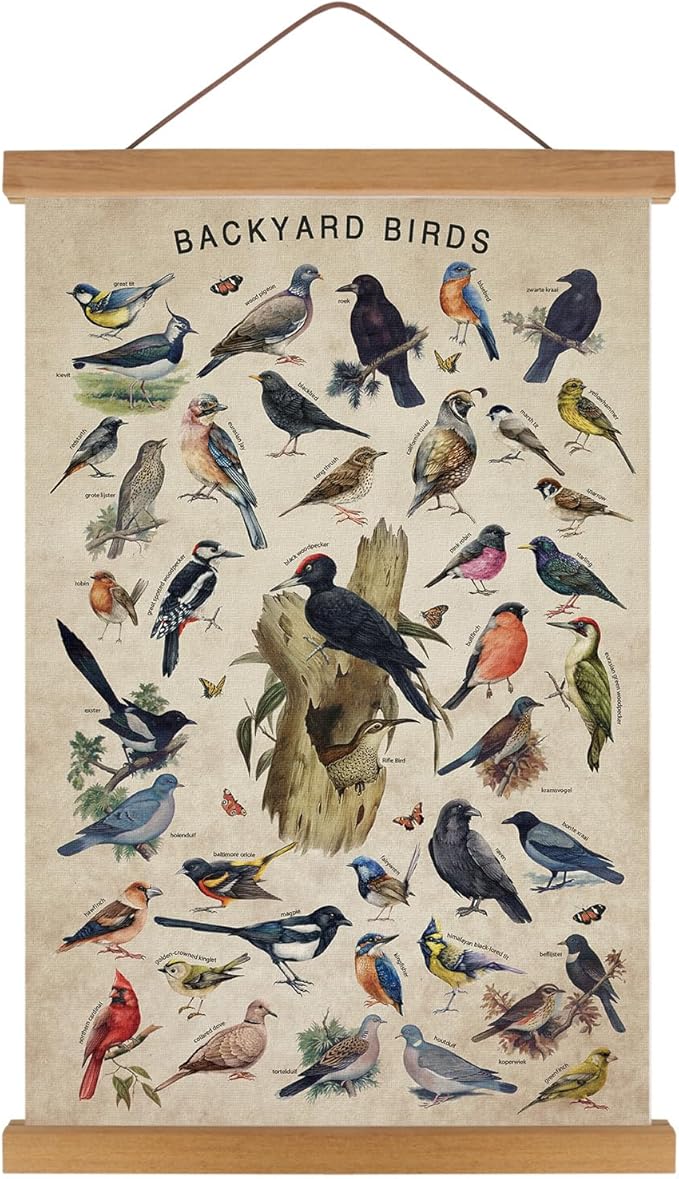 KAIRNE Vintage Backyard Birds Canvas Wall Art Set,Bird Identification Poster Chart,Hummingbird Decor,Birds Art Prints(35x56cm)landscape Wall Decor,Ideal Nature-Inspired Home Decor for Bird Enthusiasts