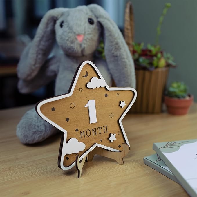 Wooden 3D Baby Monthly Milestone Cards Monthly Milestone Discs Newborn Photography Props Baby Announcement Sign Baby (Star)