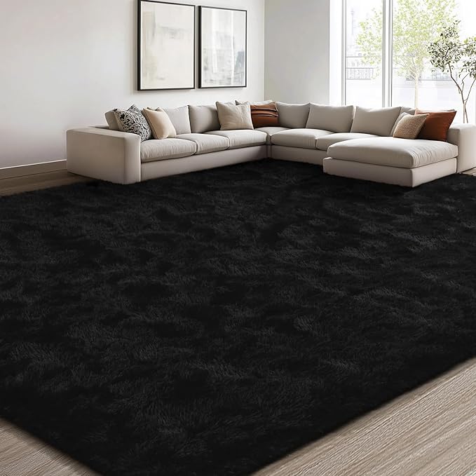 EVOIONOS 6x9 Washable Large Area Rug for Living Room, Fluffy Shag Rug for Bedroom, Ultra Soft Plush Non Slip Carpet for Indoor Floor Bedside Nursery Kids Girls Room Dorm, Home Decor Aesthetic, Black