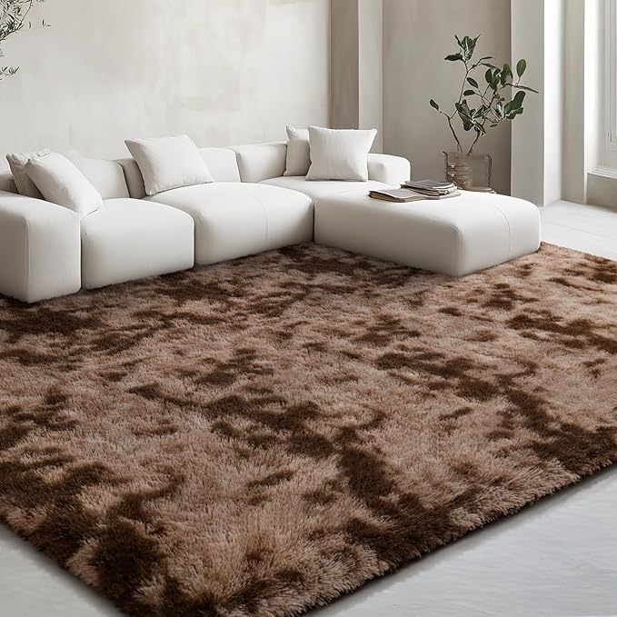 EVOIONOS Area Rug for Bedroom Living Room, Machine Washable 5x7 Fluffy Shag Rug, Soft Plush Non Slip Carpet for Indoor Floor Bedside Nursery Kids Girls Room Dorm, Home Decor Aesthetic, Tie-Dyed Coffee