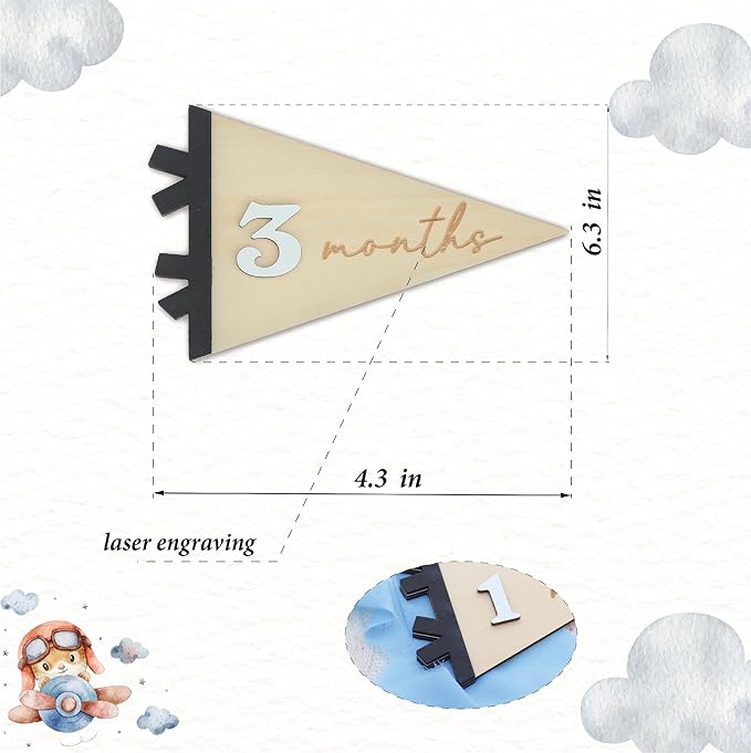 Daisy 3D Baby Monthly Milestone, Wooden Baby Milestone Signs, Monthly Milestone Wood Discs, Baby Milestone Discs (Flag)