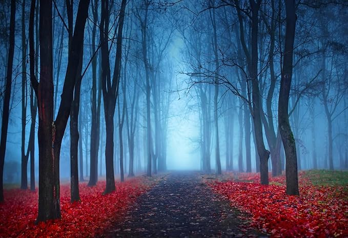 Foggy Forest Wall Mural Living Room Wallpaper for Bedroom TV Background (Not Peel n' Stick)