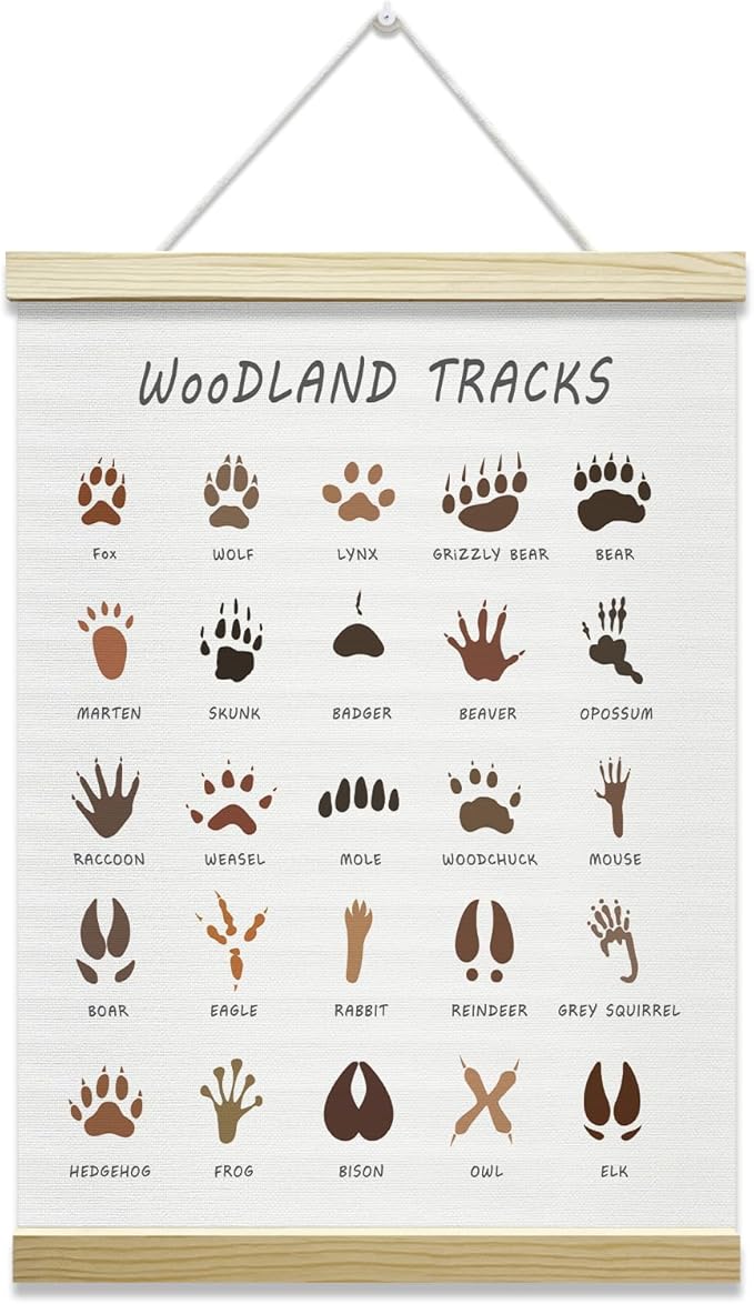 Nopoben Woodland Tracks Poster Hanger Frame, Animal Tracks Wall Art With Wooden Poster Hanger, Educational Animals Wall Decor, Forest Hunting Boy Nursery Decor(12x16 Inches)-18