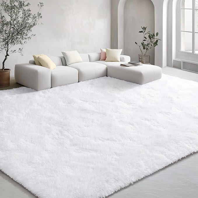 EVOIONOS 5x8 Washable Large Area Rug for Living Room, Fluffy Shag Rug for Bedroom, Ultra Soft Plush Non Slip Carpet for Indoor Floor Bedside Nursery Kids Girls Room Dorm, Home Decor Aesthetic, White