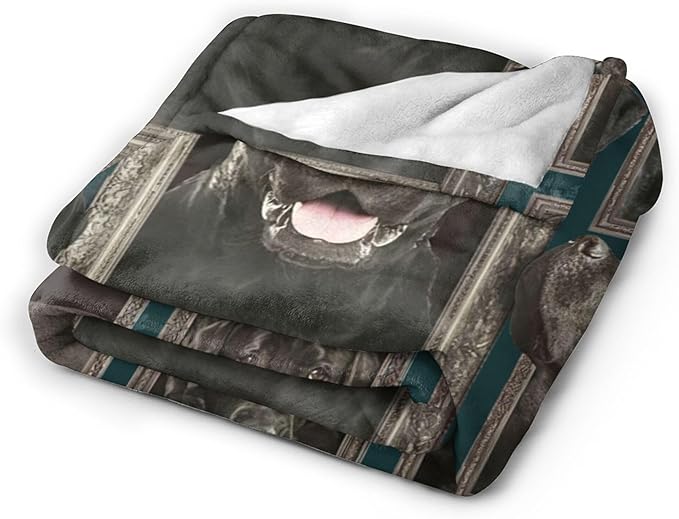 Labrador Retriever Dog Blanket - Cute Throw for Girls, Women, Kids, Adults - Soft Warm Cozy Fleece for Couch, Sofa, Bed - 80"x60" - Gifts and Decor