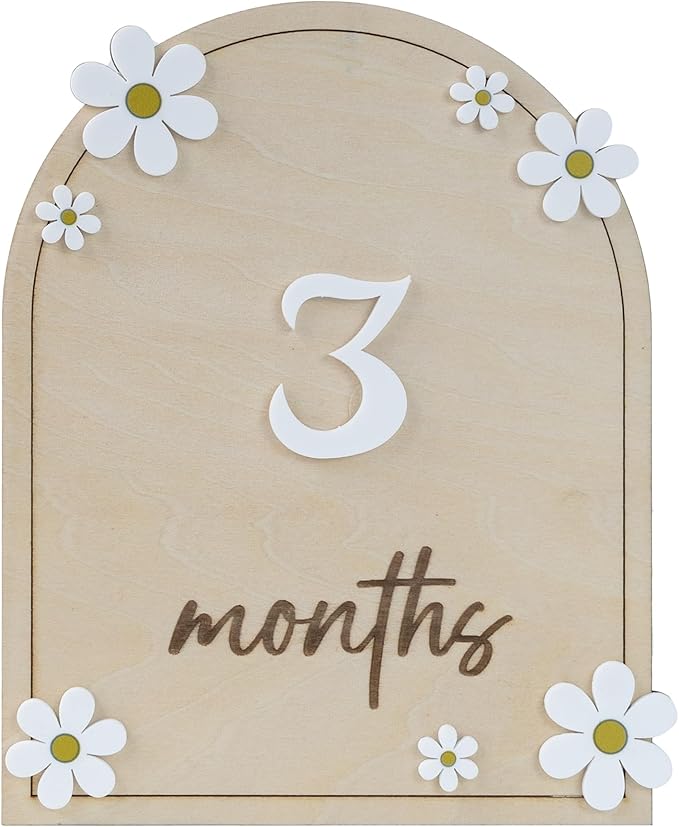 Wooden 3D Baby Monthly Milestone Cards Monthly Milestone Discs Newborn Photography Props Baby Announcement Sign Baby (Daisy)