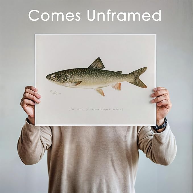 DREAM BIG PRINTABLES Fish Wall Art Prints (Set of 6) - Unframed - 8x10s | Vintage Fishing Decor - Midwest Fish Species - Great Gift for Fisherman