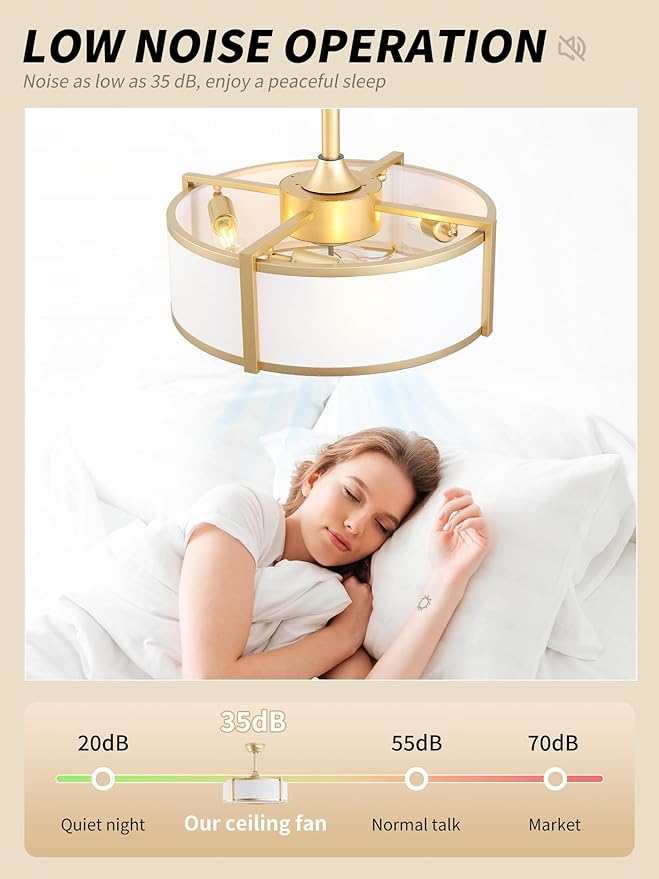 20" Caged Ceiling Fans with Lights, Gold Fandelier Ceiling Fan with Light, Boho Chandelier Fan Remote Control, 6 Speeds for Bedroom, Nursery, Living Room