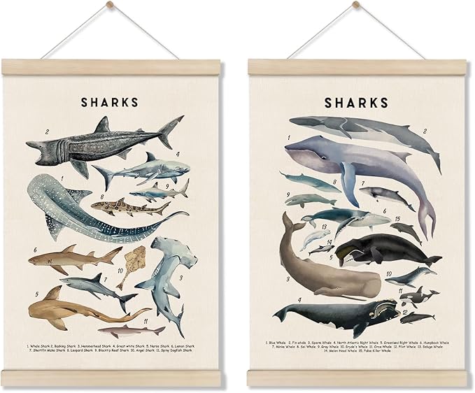 DOI-LANEE Shark Poster Hanger Frame, Set of 2 Shark Canvas Wall Art 16x12 Inch, Kids Educational & Learning Posters, Ocean Room, Sea Animal Decor for Playroom Classroom, Ocean Animals Wall Decor