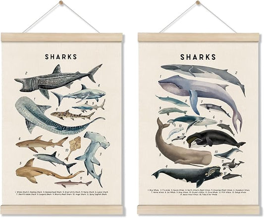 DOI-LANEE Shark Poster Hanger Frame, Set of 2 Shark Canvas Wall Art 16x12 Inch, Kids Educational & Learning Posters, Ocean Room, Sea Animal Decor for Playroom Classroom, Ocean Animals Wall Decor