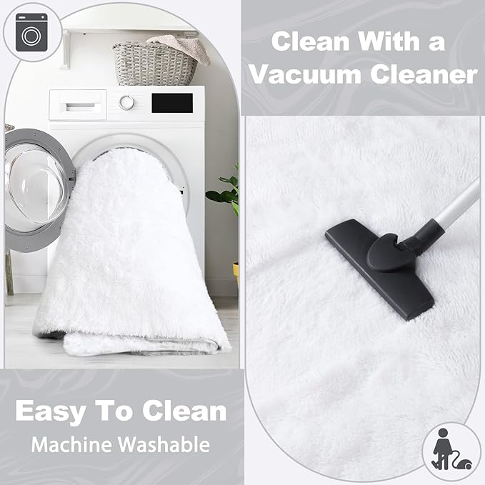 EVOIONOS Ultra Soft Area Rug for Bedroom, 4x6 Machine Washable Fluffy Shag Rug for Living Room, Plush Non Slip Carpet for Indoor Floor Bedside Nursery Kids Girls Room Dorm, Home Decor Aesthetic, White