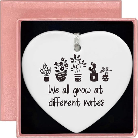 Heart Shaped Christmas Ornament-Birthday Inspirational Quotes Gift-Funny Affirmations Positive Motivational Encouragement Present We All Grow at Different Rates Keepsake