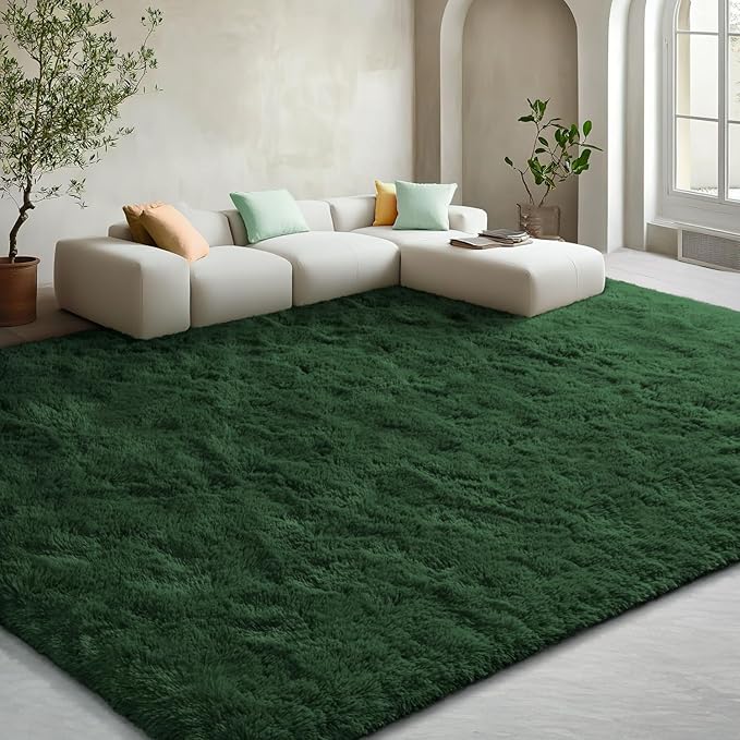 EVOIONOS 5x8 Washable Large Area Rug for Living Room, Fluffy Shag Rug for Bedroom, Ultra Soft Plush Non Slip Carpet for Indoor Floor Bedside Nursery Kids Girls Room Dorm, Home Decor Aesthetic, Green