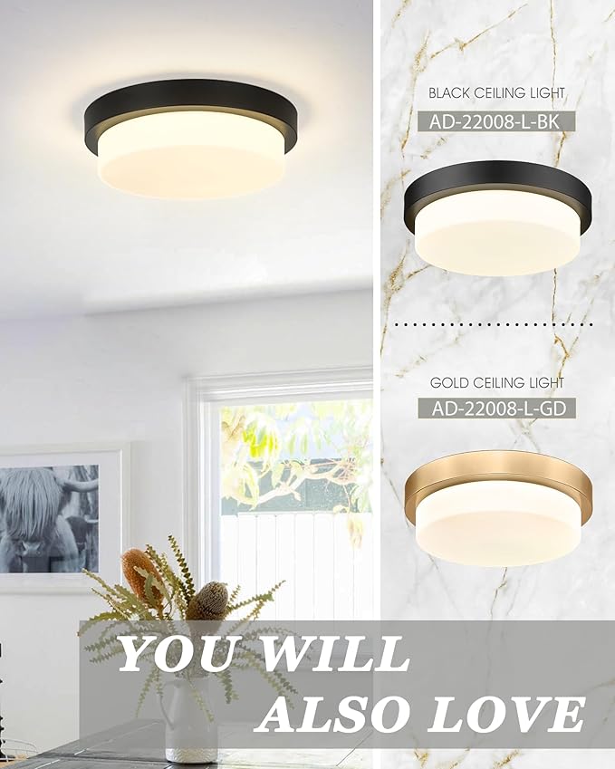 Black Flush Mount Ceiling Light, 13inch Close to Ceiling Light Fixtures 24W 2200lm Dimmable 2700K/3000K/4000K/5000K/6000K LED Ceiling Lamp for Bedroom Hallway Kitchen, AD-22008-L-BK