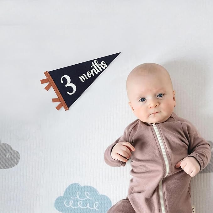 12 PCS Baby Monthly Milestone Felt Pennant - Navy Blue 1 to 12 Months Photo Props, Newborn Growth Record Triangle Banner, First Year Signs, Boys Monthly Photo Props