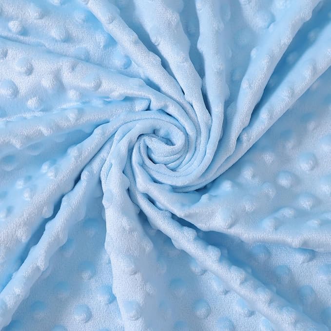 iEvolve Baby Nursery Bed Blankets Ultra Soft Double Layer Mini Blanket Minky Blanket Receiving Blankets Shower Gifts(Whale,30 * 47in)