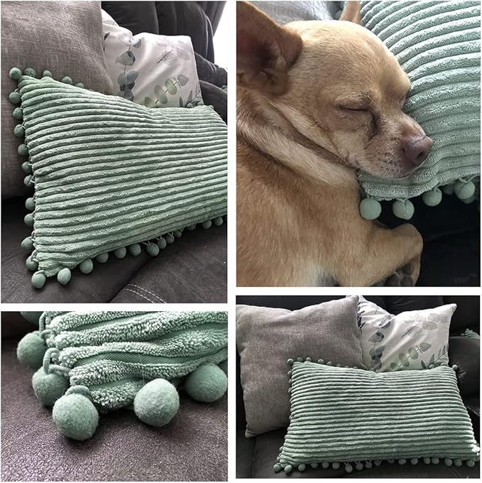 Fancy Homi Pack of 2 Sage Green Euro Decorative Throw Pillow Covers 26x26 Inch with Pom-poms, Soft Corduroy Solid Square Cushion Case for Couch Sofa Bedroom Car Living Room 66x66 cm