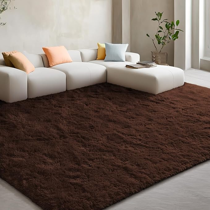 EVOIONOS Ultra Soft Area Rug for Bedroom, 4x6 Machine Washable Fluffy Shag Rug for Living Room, Plush Non Slip Carpet for Indoor Floor Bedside Nursery Kids Girls Room Dorm, Home Decor Aesthetic Coffee
